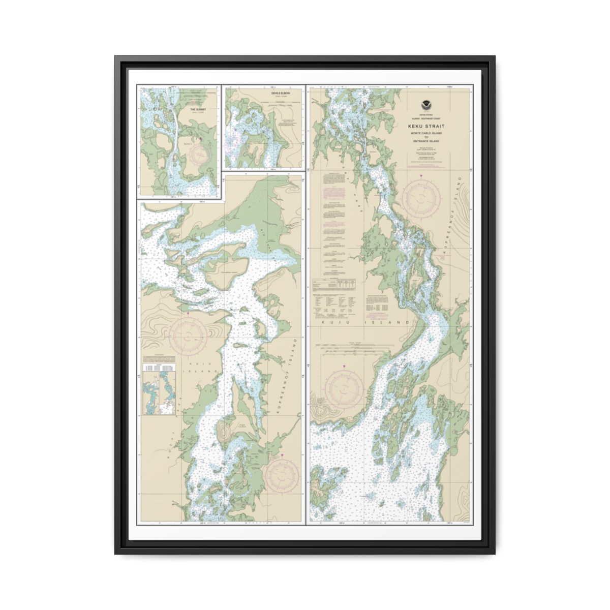 Chart 17372 Keku Strait-Monte Carlo Island to Entrance Island;The Summit;Devils Elbow - NOAA Nautical Chart Floating Frame Canvas | 24" x 32" | 30" x 40" - Black front