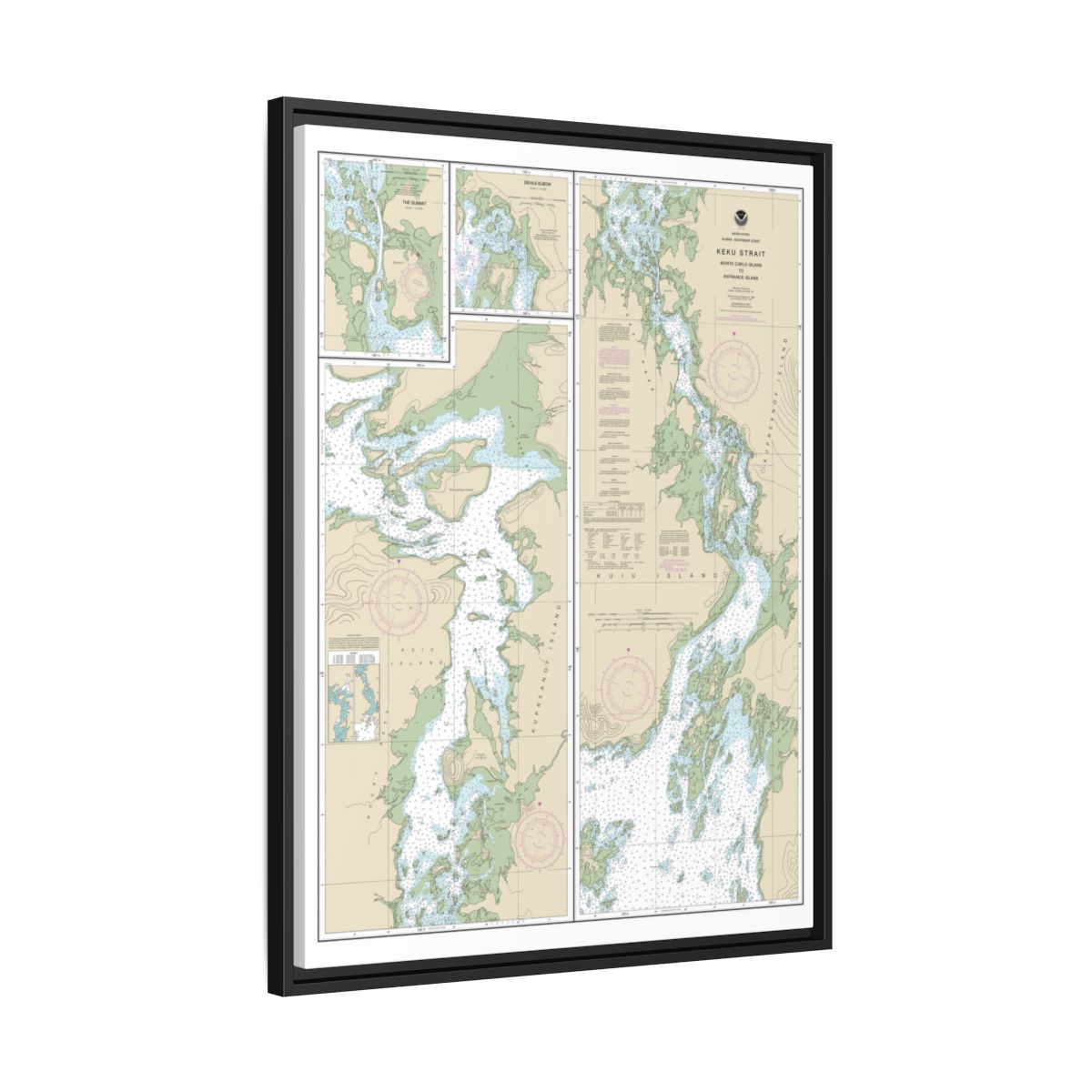 Chart 17372 Keku Strait-Monte Carlo Island to Entrance Island;The Summit;Devils Elbow - NOAA Nautical Chart Floating Frame Canvas | 24" x 32" | 30" x 40" - Black side