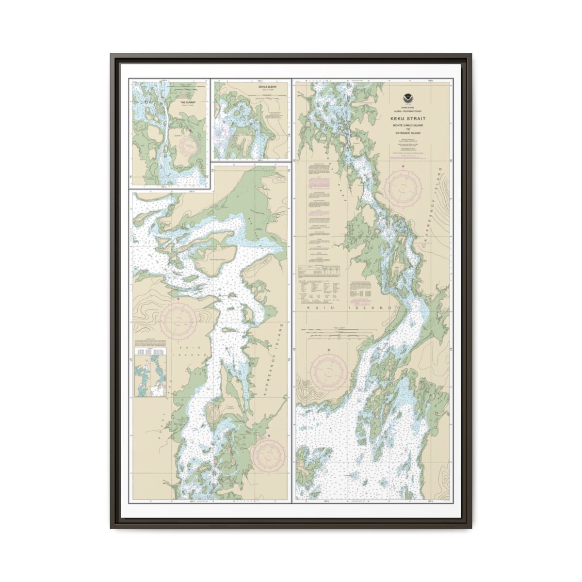 Chart 17372 Keku Strait-Monte Carlo Island to Entrance Island;The Summit;Devils Elbow - NOAA Nautical Chart Floating Frame Canvas | 24" x 32" | 30" x 40" - Espresso front