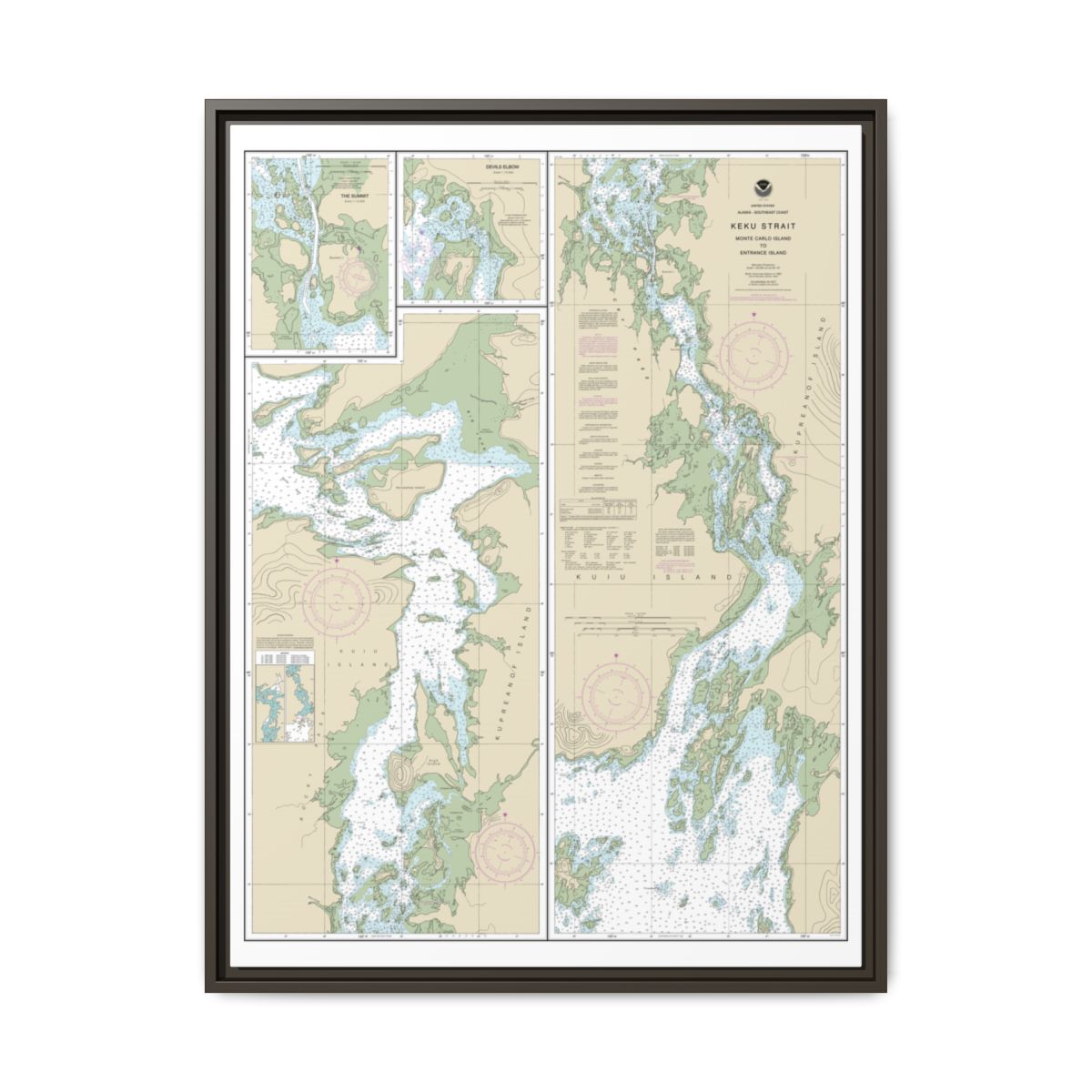 Chart 17372 Keku Strait-Monte Carlo Island to Entrance Island;The Summit;Devils Elbow - NOAA Nautical Chart Floating Frame Canvas | 24" x 32" | 30" x 40" - Espresso front