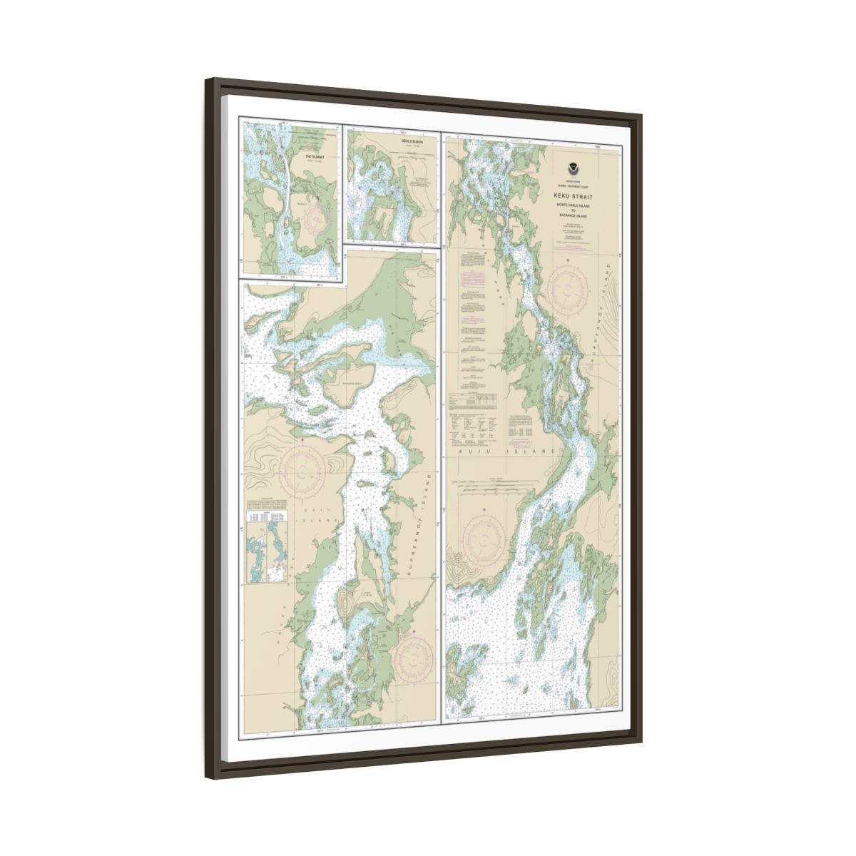 Chart 17372 Keku Strait-Monte Carlo Island to Entrance Island;The Summit;Devils Elbow - NOAA Nautical Chart Floating Frame Canvas | 24" x 32" | 30" x 40" - Espresso side