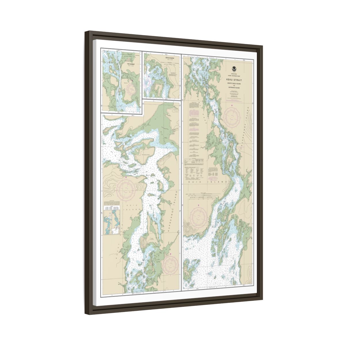 Chart 17372 Keku Strait-Monte Carlo Island to Entrance Island;The Summit;Devils Elbow - NOAA Nautical Chart Floating Frame Canvas | 24" x 32" | 30" x 40" - Espresso side
