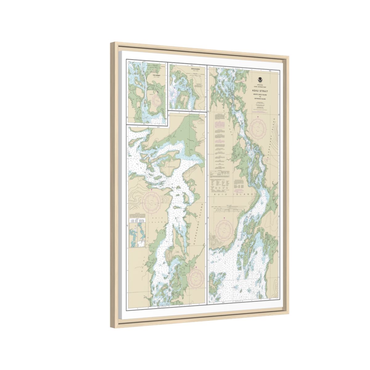 Chart 17372 Keku Strait-Monte Carlo Island to Entrance Island;The Summit;Devils Elbow - NOAA Nautical Chart Floating Frame Canvas | 24" x 32" | 30" x 40" - Natural side