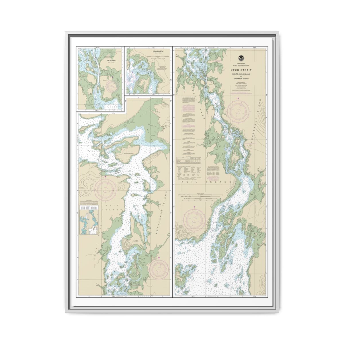 Chart 17372 Keku Strait-Monte Carlo Island to Entrance Island;The Summit;Devils Elbow - NOAA Nautical Chart Floating Frame Canvas | 24" x 32" | 30" x 40" - White front