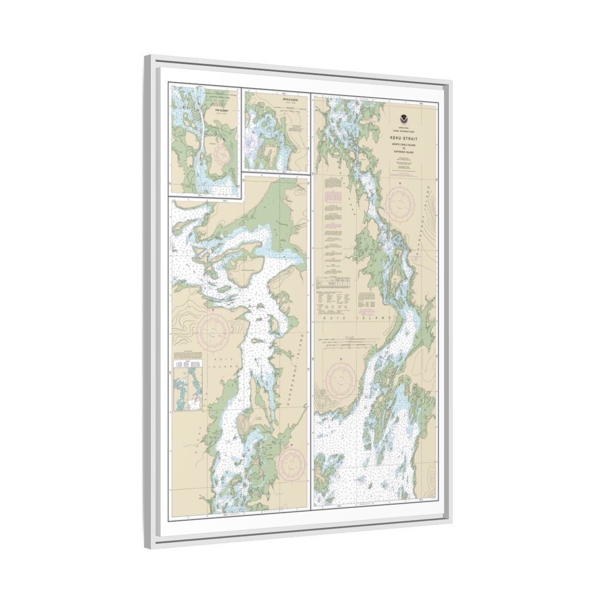 Chart 17372 Keku Strait-Monte Carlo Island to Entrance Island;The Summit;Devils Elbow - NOAA Nautical Chart Floating Frame Canvas | 24" x 32" | 30" x 40" - White side