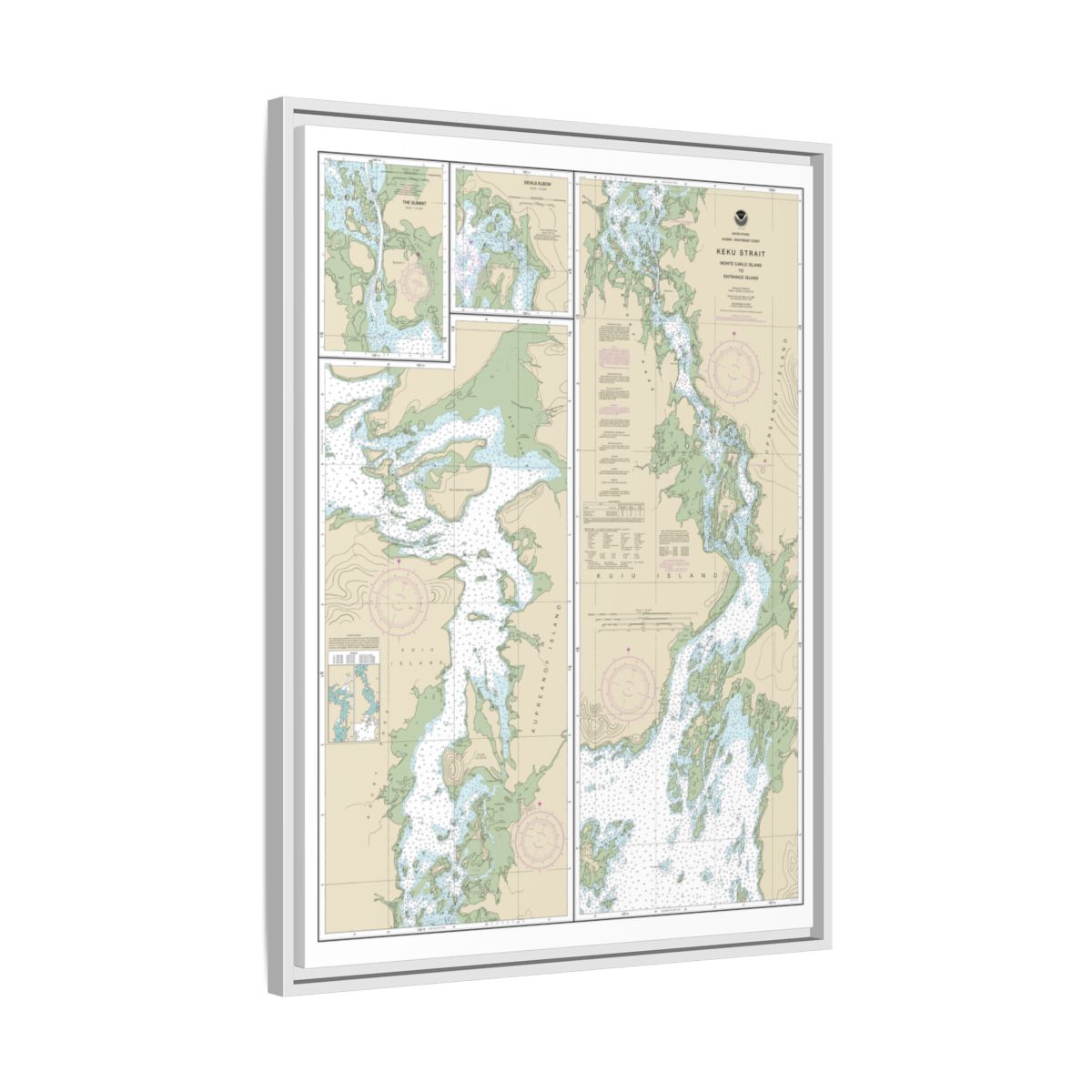 Chart 17372 Keku Strait-Monte Carlo Island to Entrance Island;The Summit;Devils Elbow - NOAA Nautical Chart Floating Frame Canvas | 24" x 32" | 30" x 40" - White side