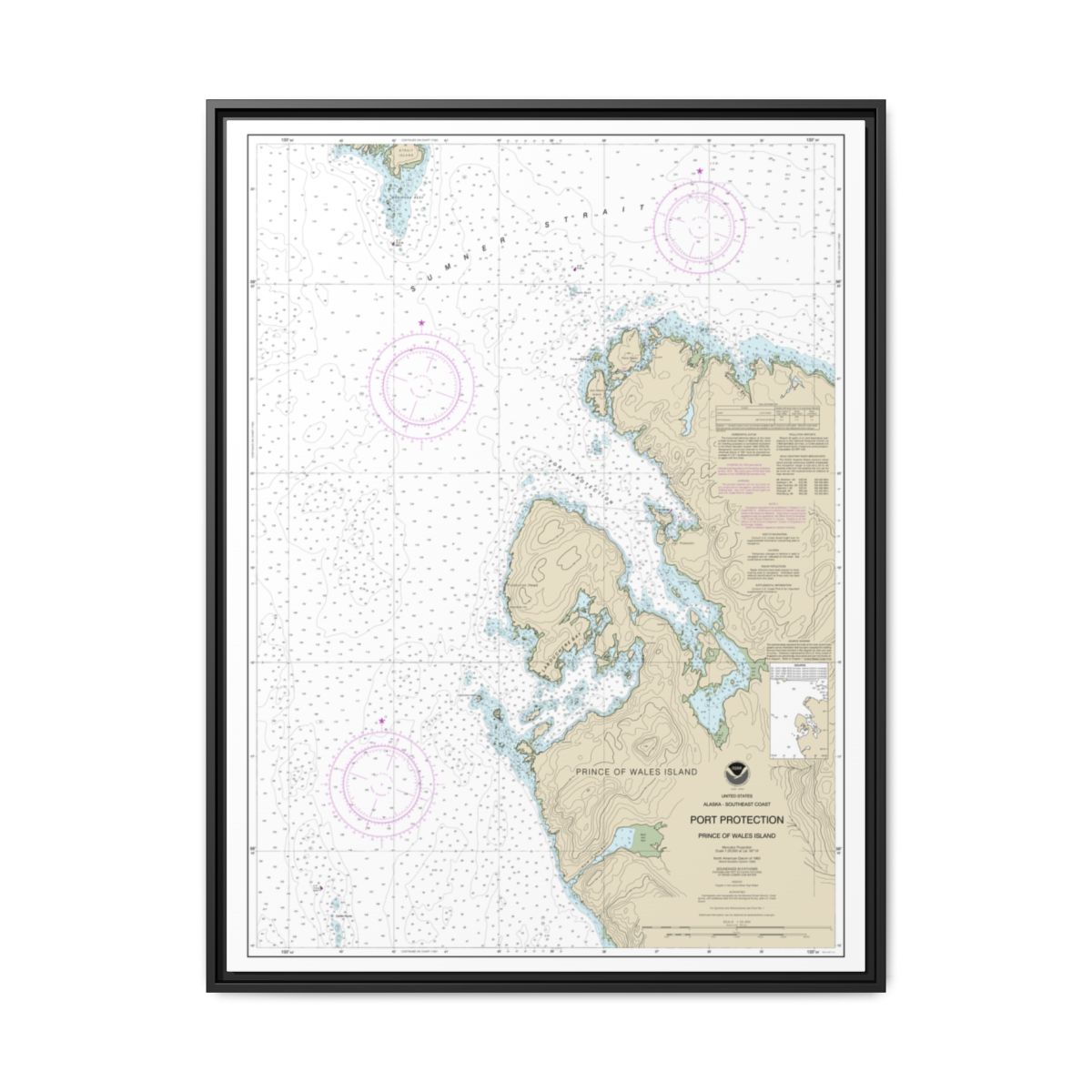 Chart 17378 Port Protection, Prince of Wales Island - NOAA Nautical Chart Floating Frame Canvas | 24" x 32" | 30" x 40" - Black front