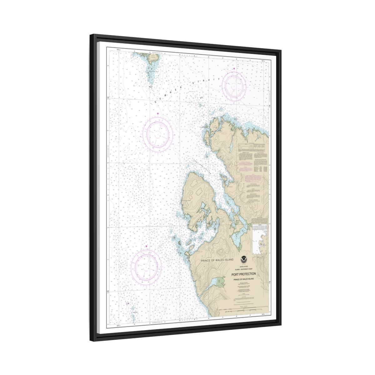 Chart 17378 Port Protection, Prince of Wales Island - NOAA Nautical Chart Floating Frame Canvas | 24" x 32" | 30" x 40" - Black side