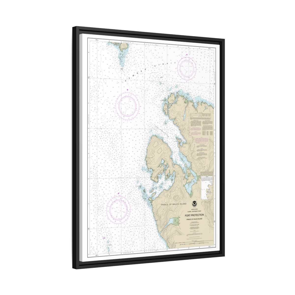 Chart 17378 Port Protection, Prince of Wales Island - NOAA Nautical Chart Floating Frame Canvas | 24" x 32" | 30" x 40" - Black side