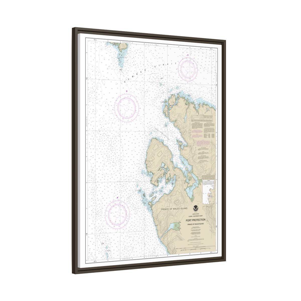 Chart 17378 Port Protection, Prince of Wales Island - NOAA Nautical Chart Floating Frame Canvas | 24" x 32" | 30" x 40" - Espresso side