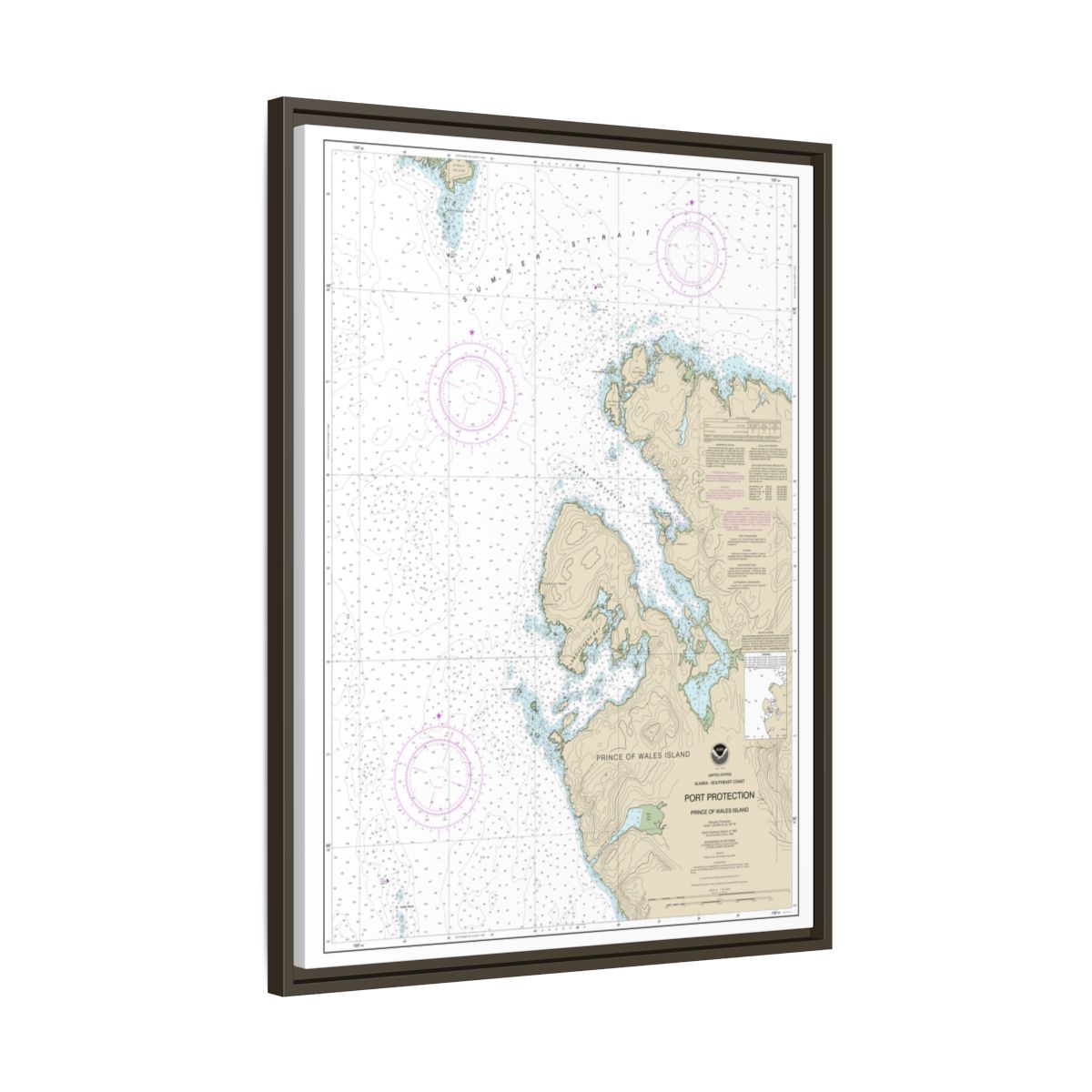 Chart 17378 Port Protection, Prince of Wales Island - NOAA Nautical Chart Floating Frame Canvas | 24" x 32" | 30" x 40" - Espresso side