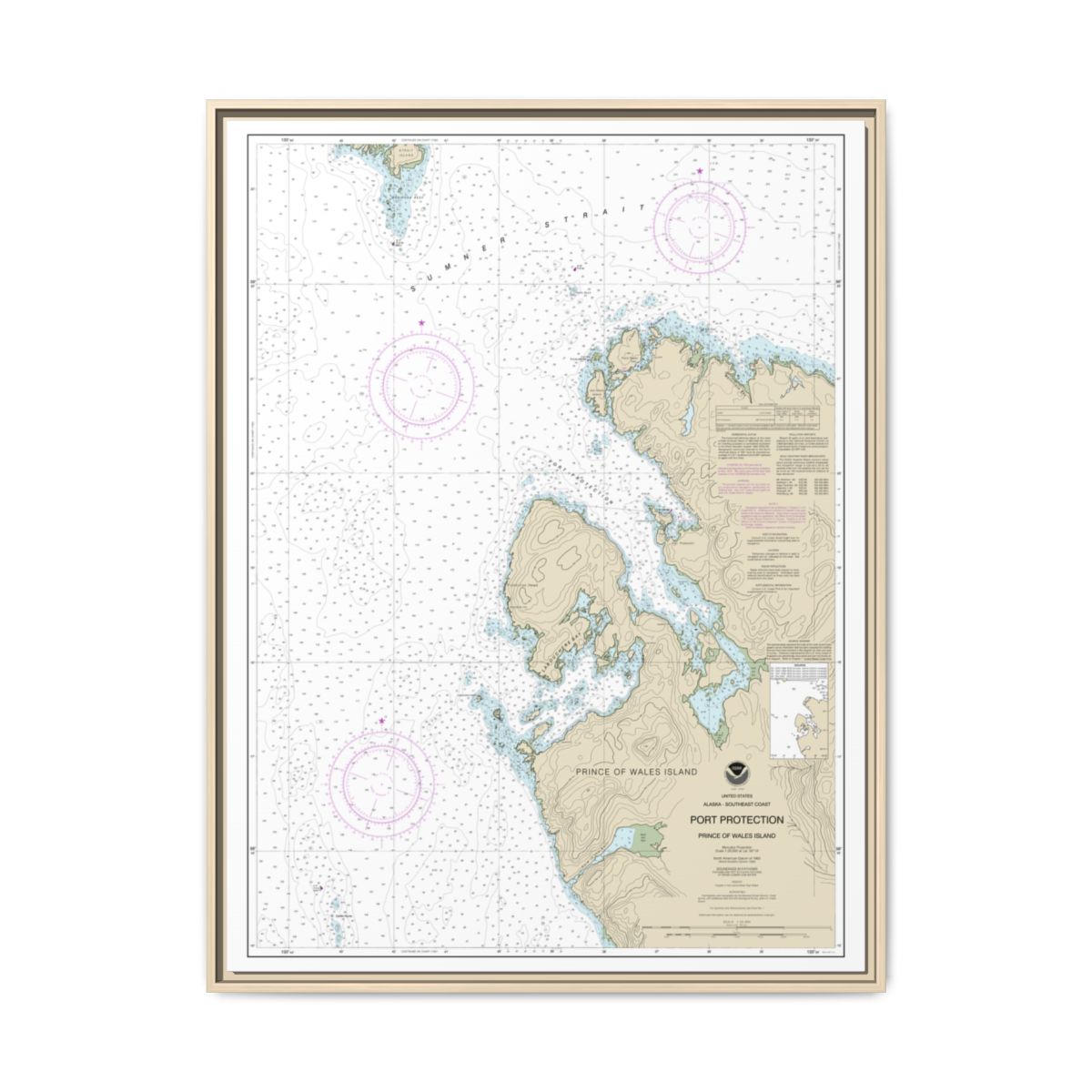 Chart 17378 Port Protection, Prince of Wales Island - NOAA Nautical Chart Floating Frame Canvas | 24" x 32" | 30" x 40" - Natural front
