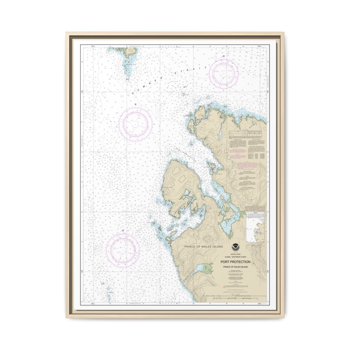 Chart 17378 Port Protection, Prince of Wales Island - NOAA Nautical Chart Floating Frame Canvas | 24" x 32" | 30" x 40" - Natural front