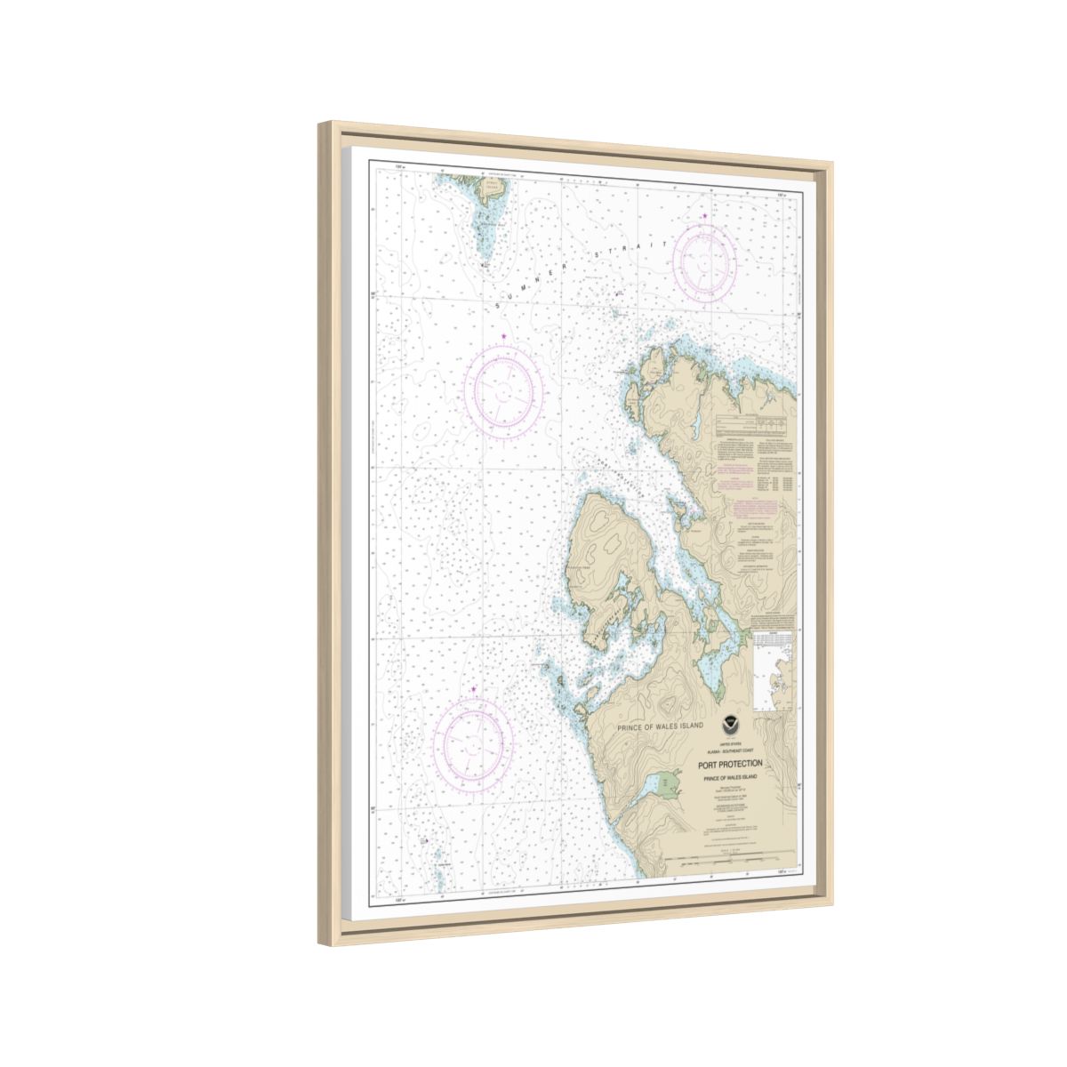 Chart 17378 Port Protection, Prince of Wales Island - NOAA Nautical Chart Floating Frame Canvas | 24" x 32" | 30" x 40" - Natural side