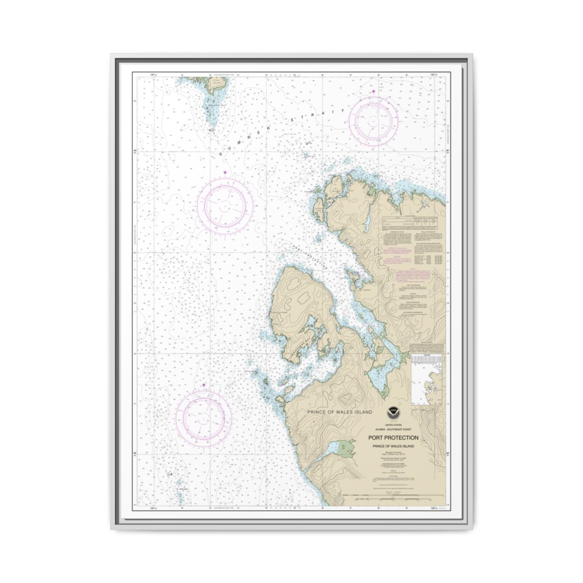 Chart 17378 Port Protection, Prince of Wales Island - NOAA Nautical Chart Floating Frame Canvas | 24" x 32" | 30" x 40" - White front