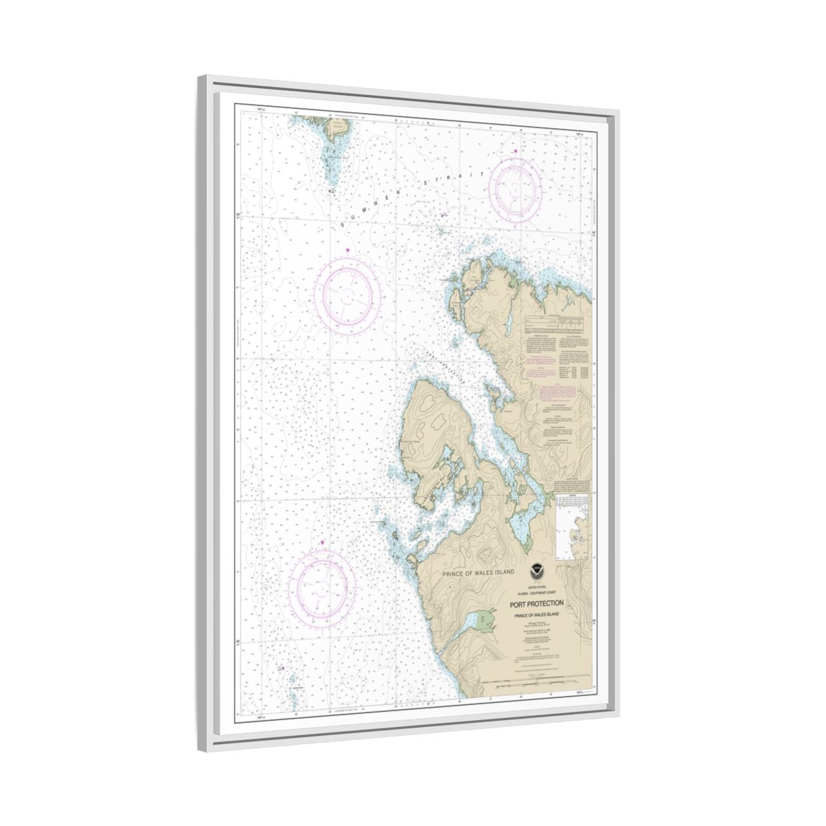Chart 17378 Port Protection, Prince of Wales Island - NOAA Nautical Chart Floating Frame Canvas | 24" x 32" | 30" x 40" - White side