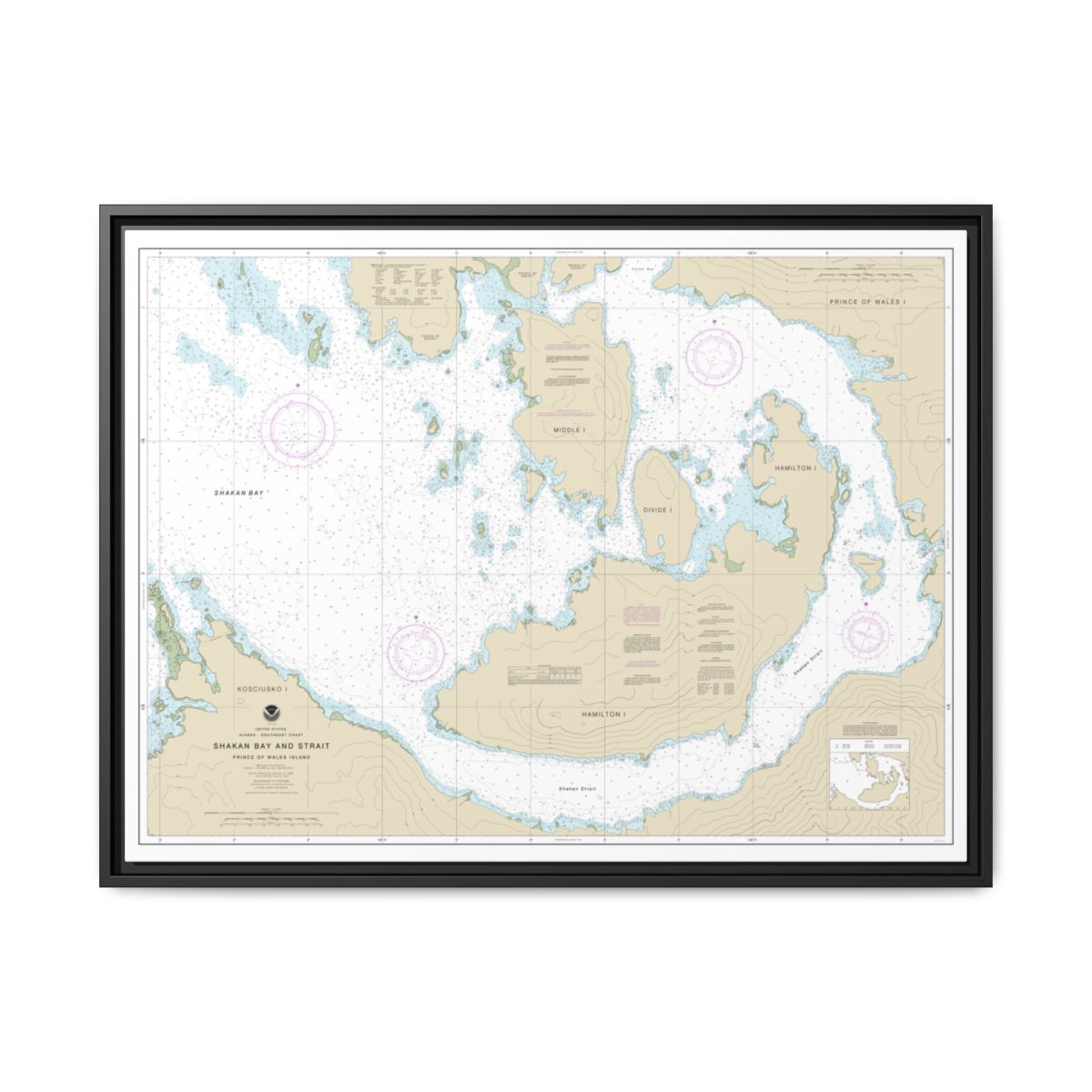 Chart 17379 Shakan Bay And Strait, Alaska - NOAA Nautical Chart Floating Frame Canvas | 32" x 24" | 40" x 30" - Black front