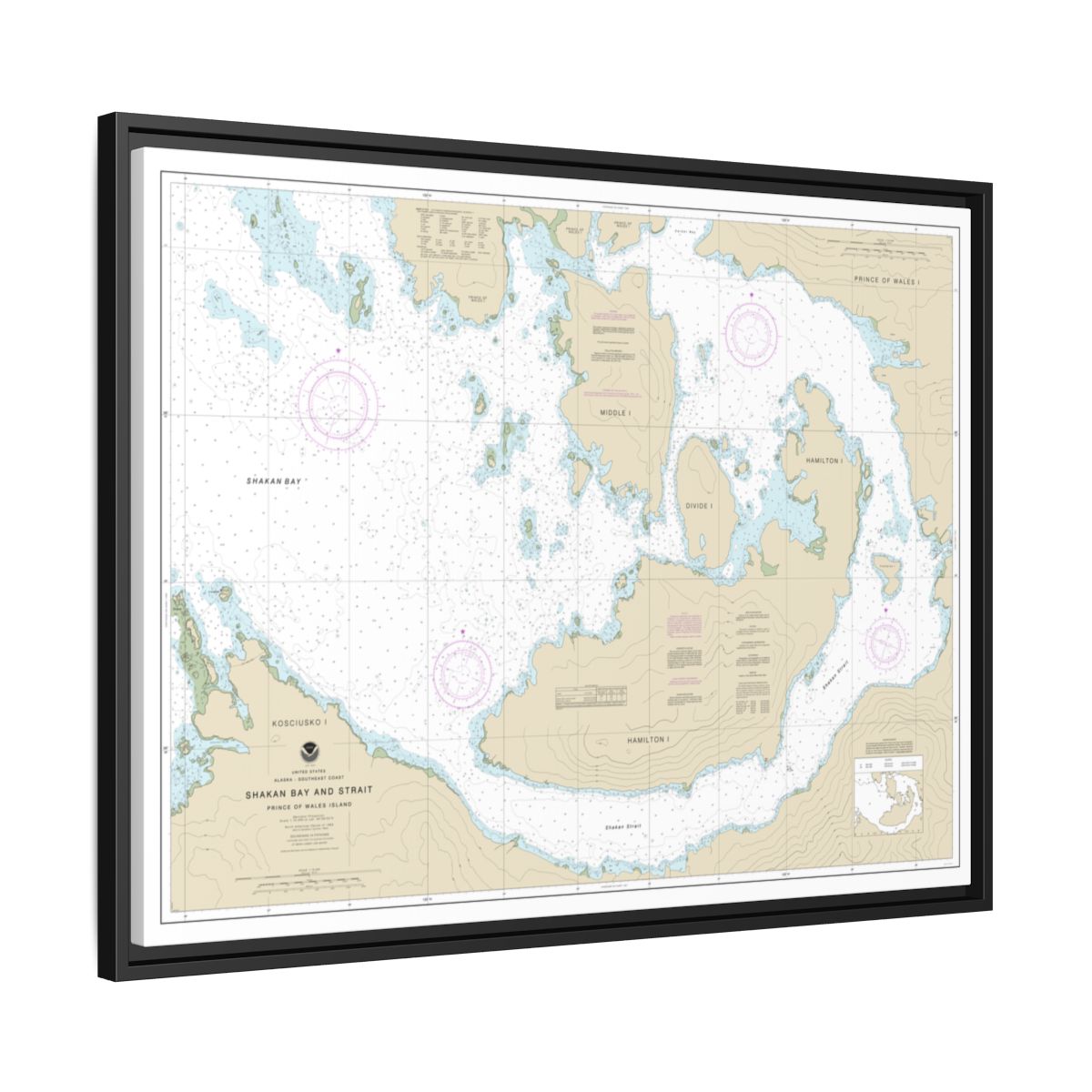 Chart 17379 Shakan Bay And Strait, Alaska - NOAA Nautical Chart Floating Frame Canvas | 32" x 24" | 40" x 30" - Black side