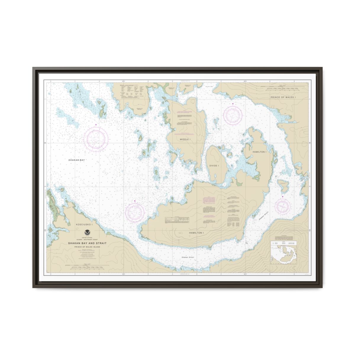 Chart 17379 Shakan Bay And Strait, Alaska - NOAA Nautical Chart Floating Frame Canvas | 32" x 24" | 40" x 30" - Espresso front