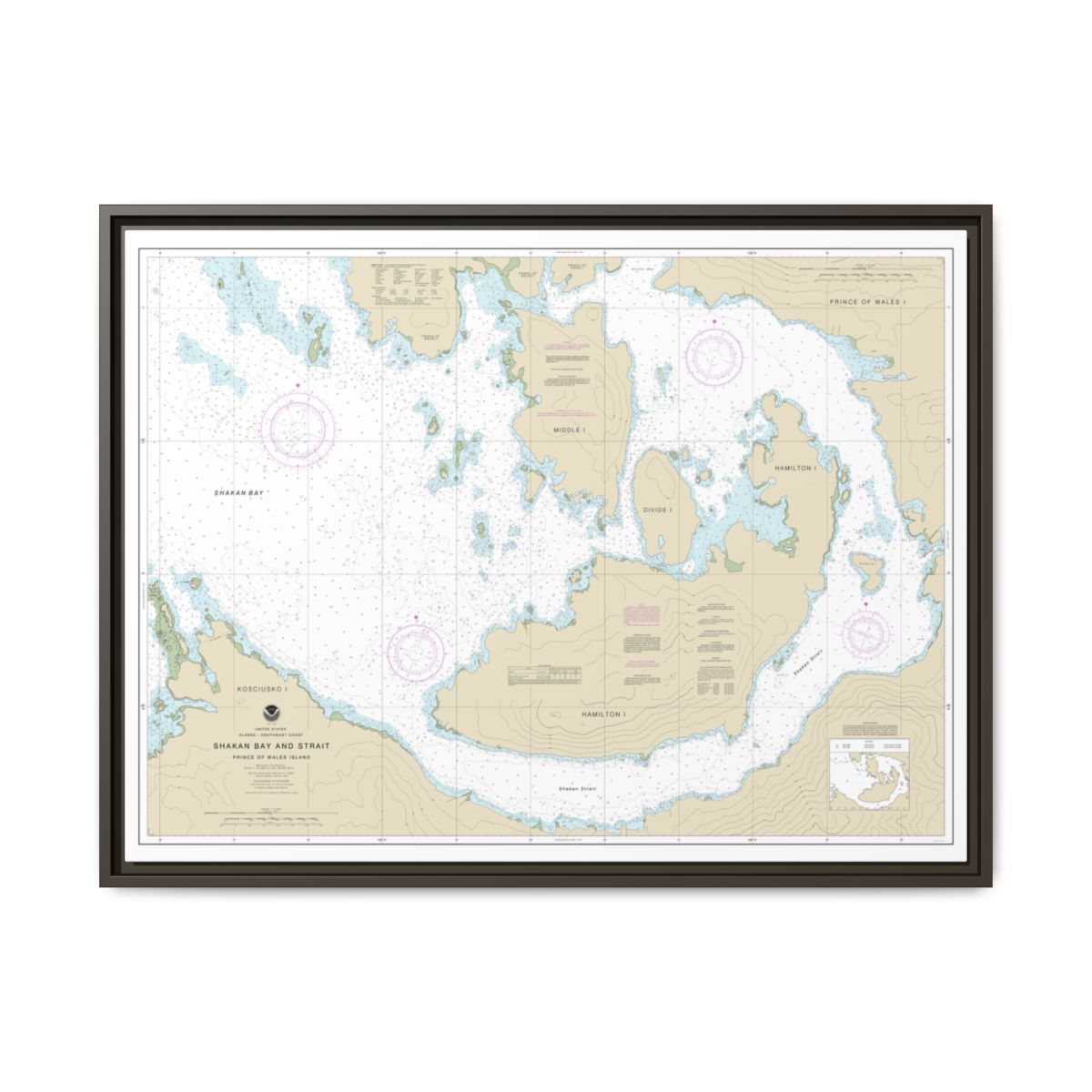 Chart 17379 Shakan Bay And Strait, Alaska - NOAA Nautical Chart Floating Frame Canvas | 32" x 24" | 40" x 30" - Espresso front