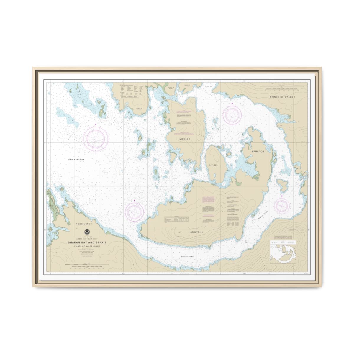 Chart 17379 Shakan Bay And Strait, Alaska - NOAA Nautical Chart Floating Frame Canvas | 32" x 24" | 40" x 30" - Natural front