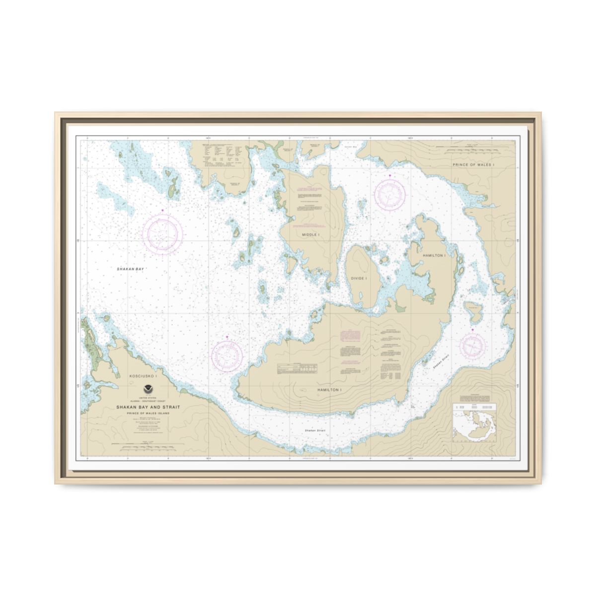 Chart 17379 Shakan Bay And Strait, Alaska - NOAA Nautical Chart Floating Frame Canvas | 32" x 24" | 40" x 30" - Natural front