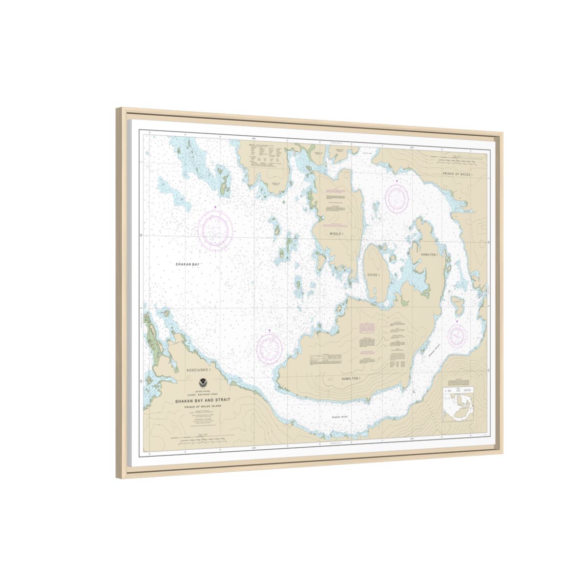 Chart 17379 Shakan Bay And Strait, Alaska - NOAA Nautical Chart Floating Frame Canvas | 32" x 24" | 40" x 30" - Natural side