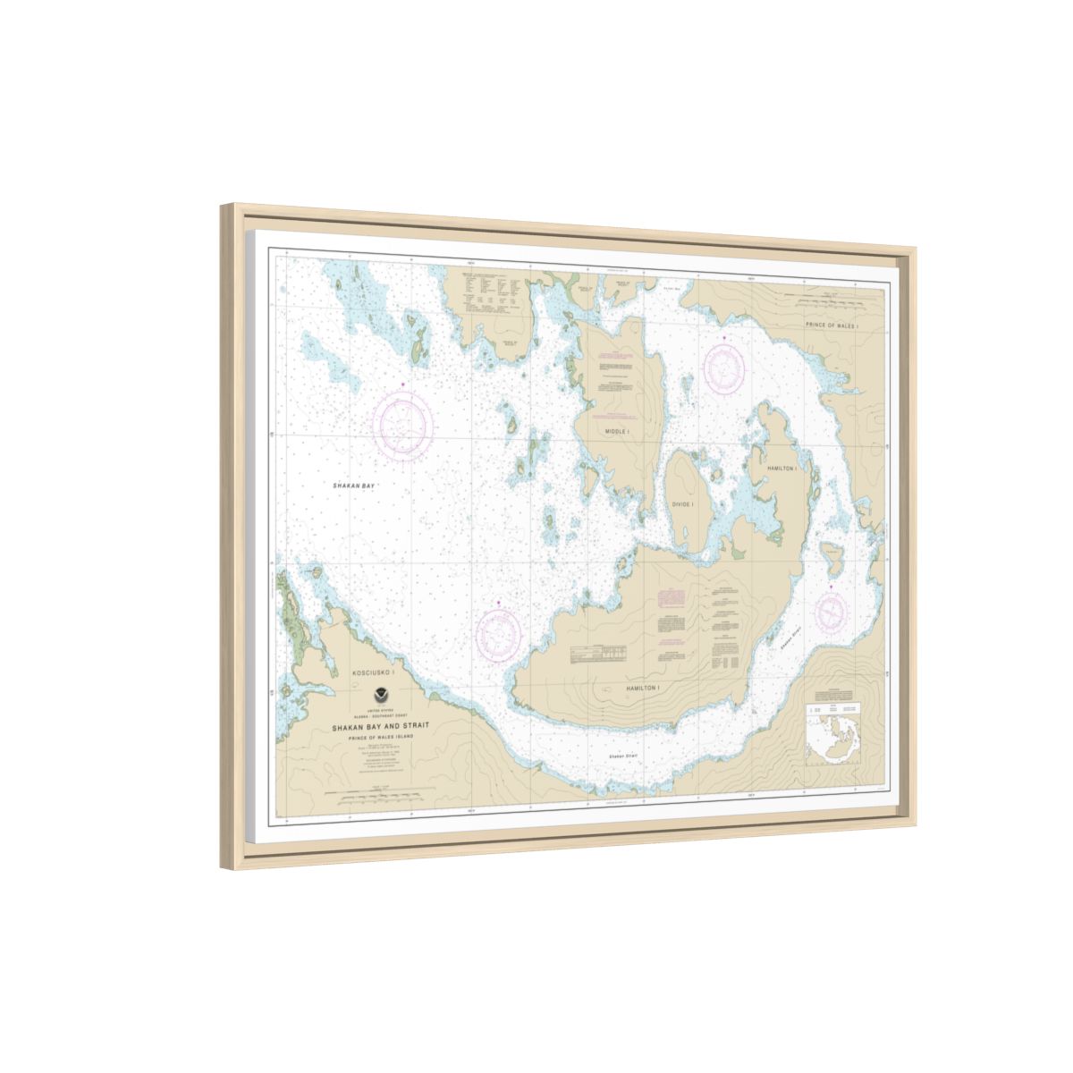 Chart 17379 Shakan Bay And Strait, Alaska - NOAA Nautical Chart Floating Frame Canvas | 32" x 24" | 40" x 30" - Natural side