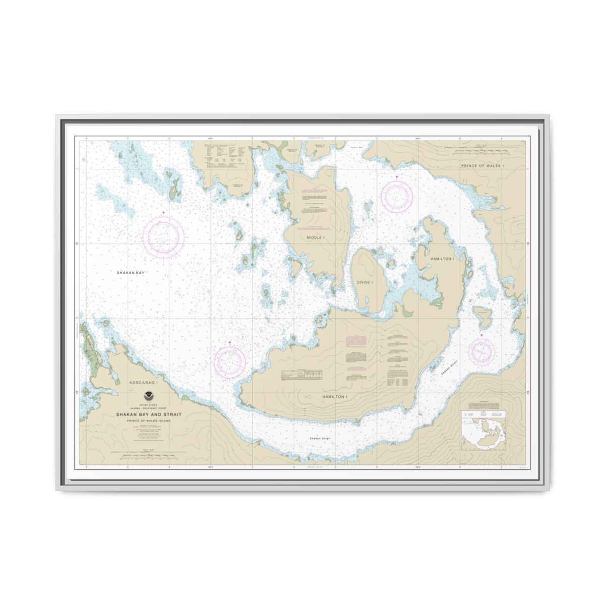 Chart 17379 Shakan Bay And Strait, Alaska - NOAA Nautical Chart Floating Frame Canvas | 32" x 24" | 40" x 30" - White front