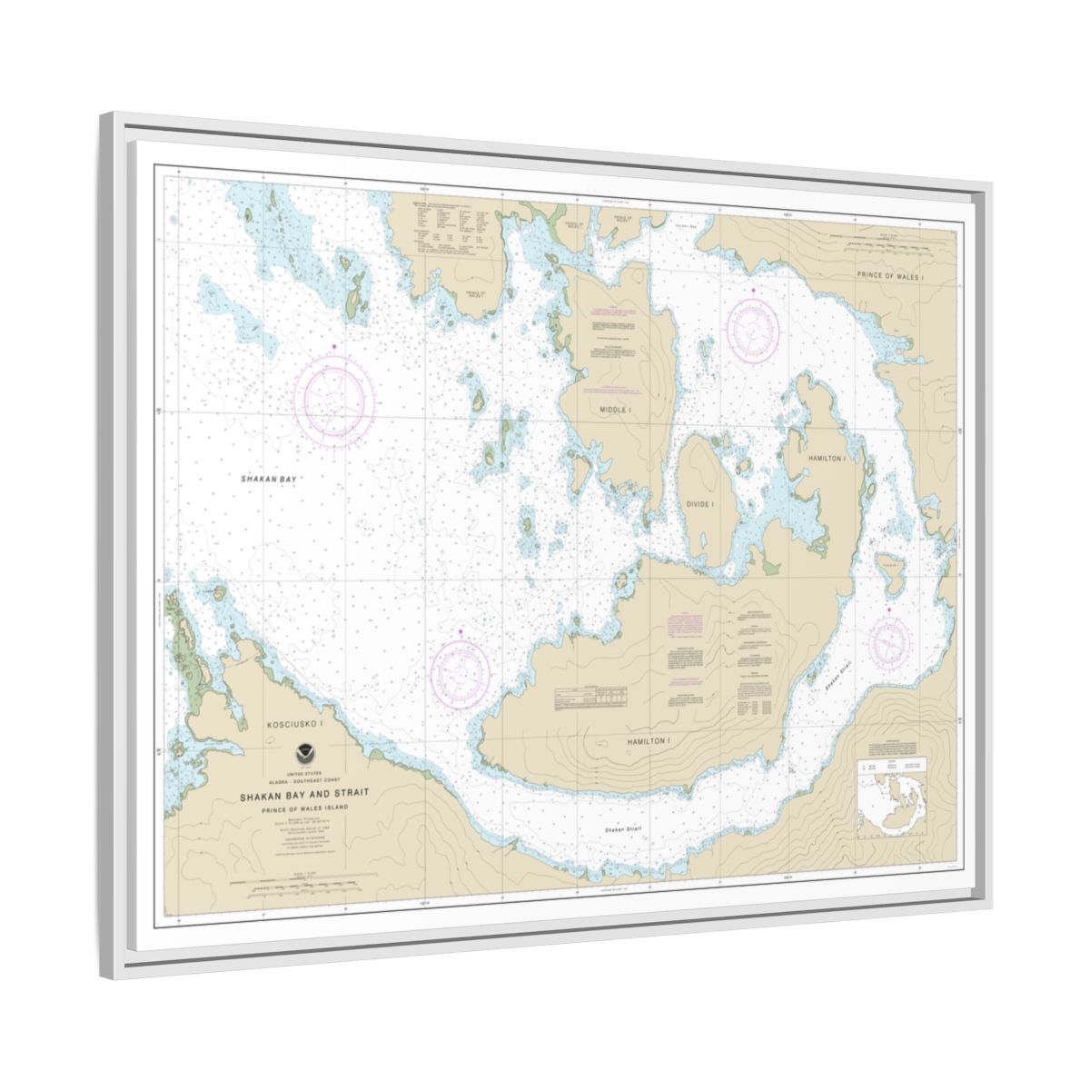 Chart 17379 Shakan Bay And Strait, Alaska - NOAA Nautical Chart Floating Frame Canvas | 32" x 24" | 40" x 30" - White side