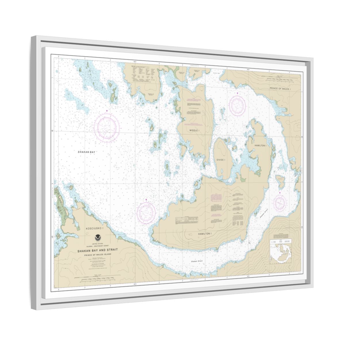 Chart 17379 Shakan Bay And Strait, Alaska - NOAA Nautical Chart Floating Frame Canvas | 32" x 24" | 40" x 30" - White side