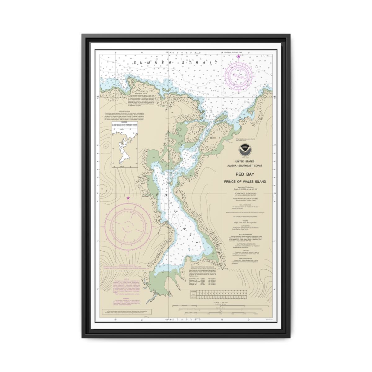 Chart 17381 Red Bay, Prince of Wales Island - NOAA Nautical Chart Floating Frame Canvas | 20" x 30" | 24" x 36" | 32" x 48" - Black front