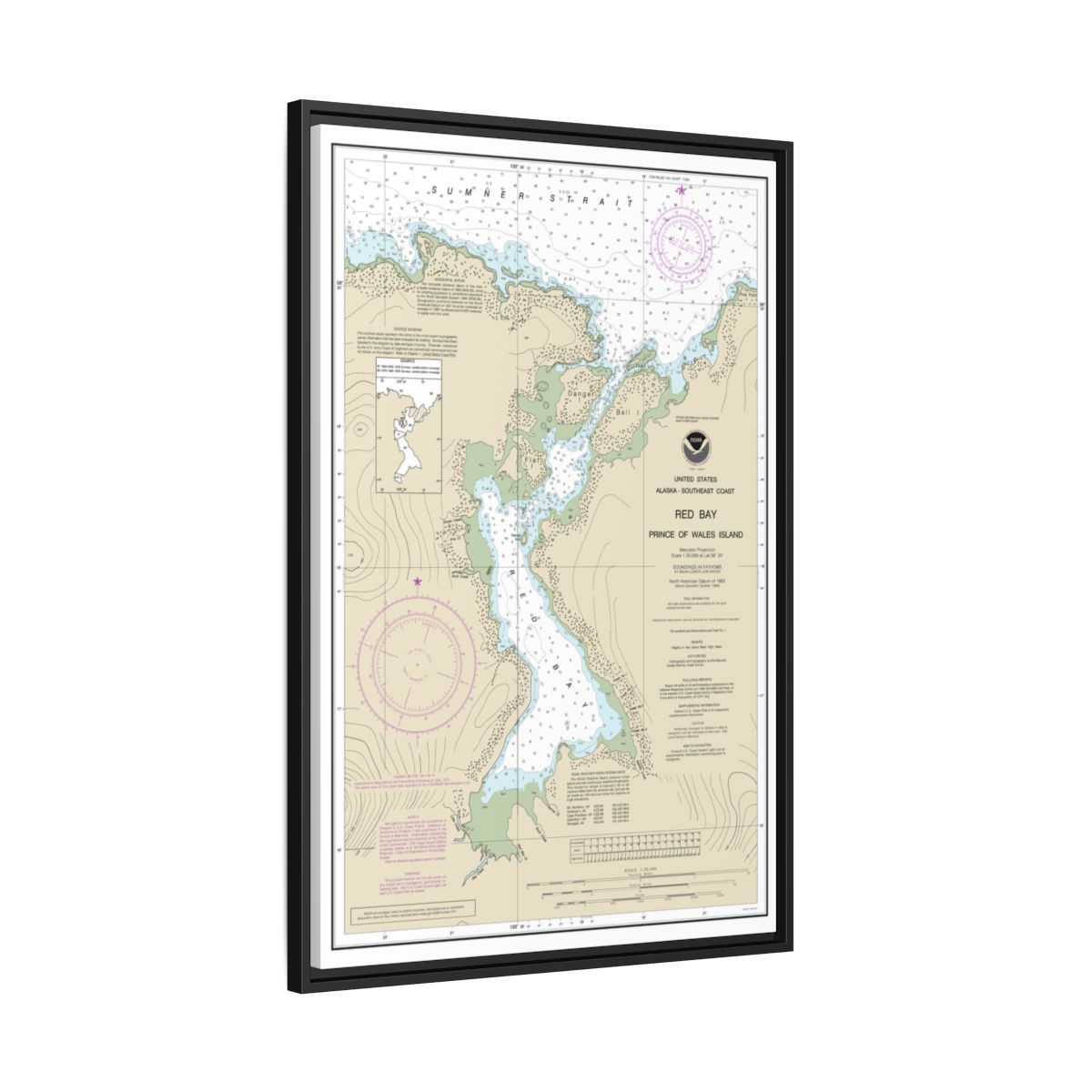 Chart 17381 Red Bay, Prince of Wales Island - NOAA Nautical Chart Floating Frame Canvas | 20" x 30" | 24" x 36" | 32" x 48" - Black side