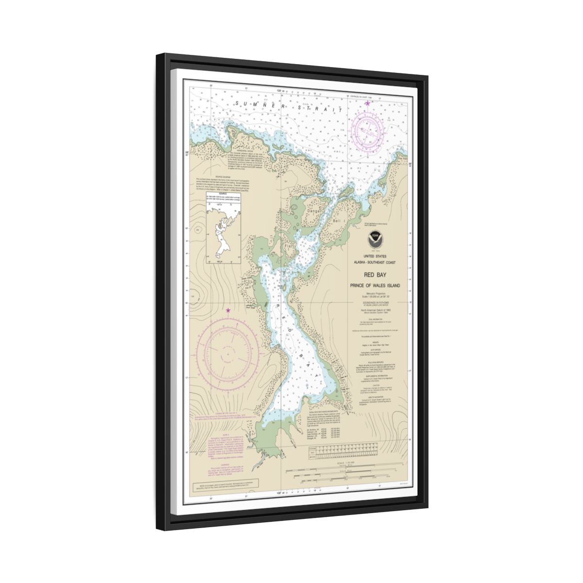 Chart 17381 Red Bay, Prince of Wales Island - NOAA Nautical Chart Floating Frame Canvas | 20" x 30" | 24" x 36" | 32" x 48" - Black side