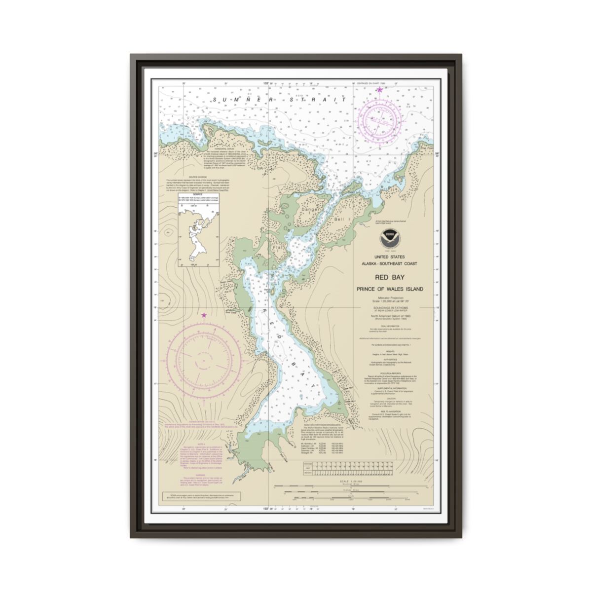 Chart 17381 Red Bay, Prince of Wales Island - NOAA Nautical Chart Floating Frame Canvas | 20" x 30" | 24" x 36" | 32" x 48" - Espresso front