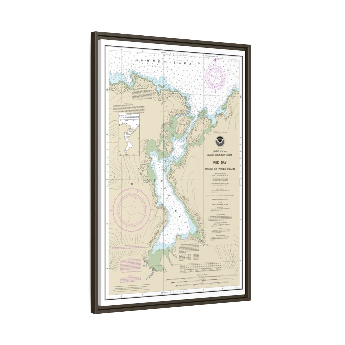 Chart 17381 Red Bay, Prince of Wales Island - NOAA Nautical Chart Floating Frame Canvas | 20" x 30" | 24" x 36" | 32" x 48" - Espresso side