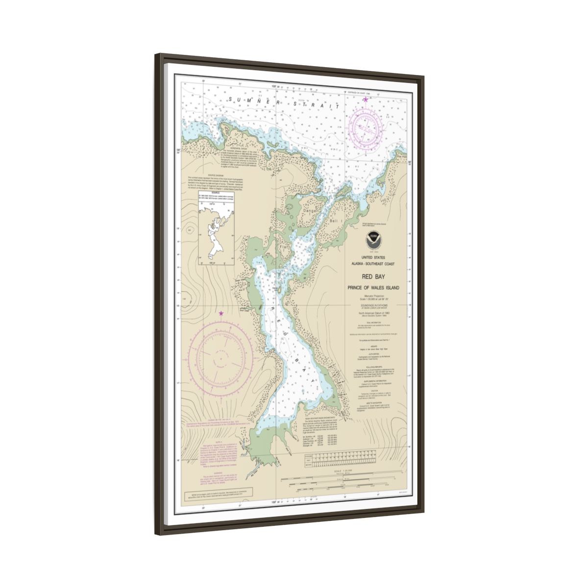 Chart 17381 Red Bay, Prince of Wales Island - NOAA Nautical Chart Floating Frame Canvas | 20" x 30" | 24" x 36" | 32" x 48" - Espresso side
