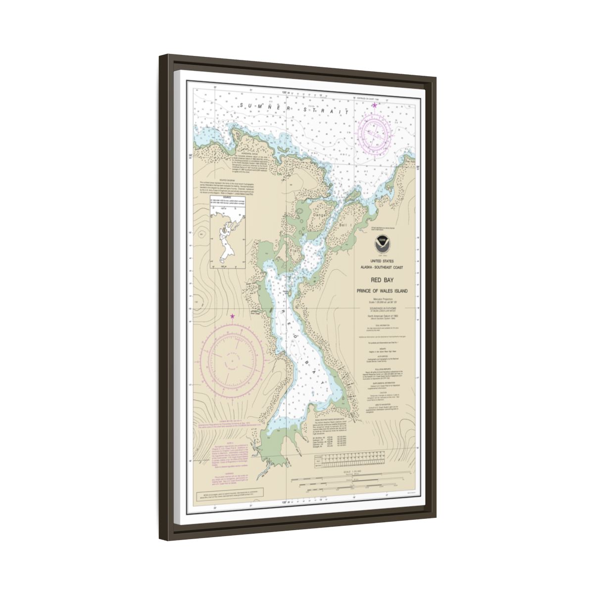 Chart 17381 Red Bay, Prince of Wales Island - NOAA Nautical Chart Floating Frame Canvas | 20" x 30" | 24" x 36" | 32" x 48" - Espresso side