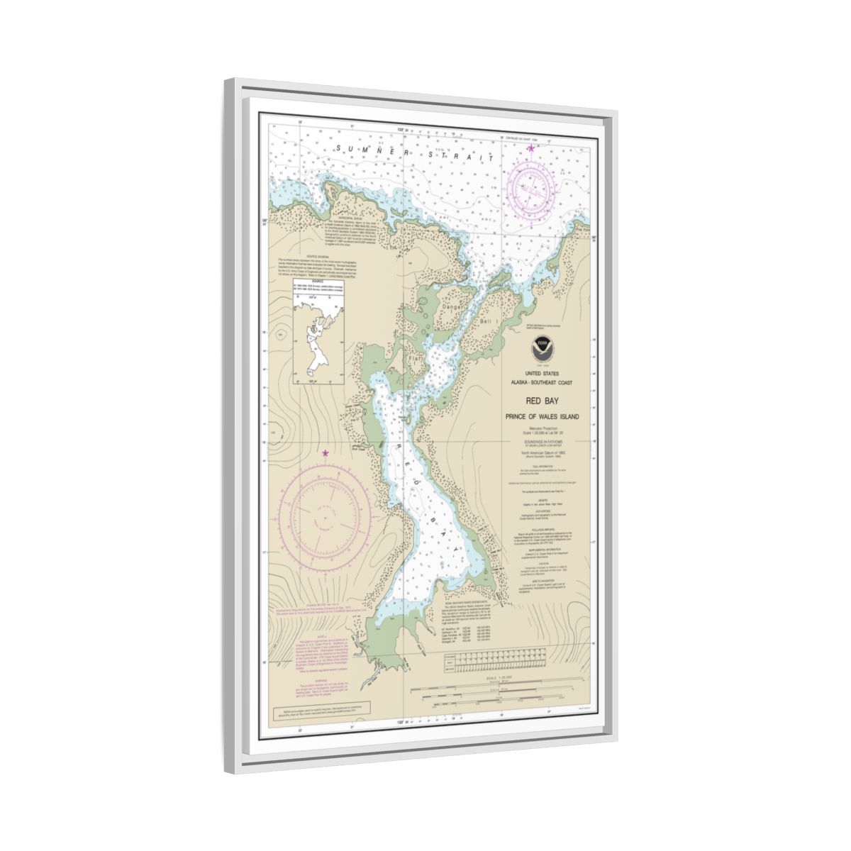 Chart 17381 Red Bay, Prince of Wales Island - NOAA Nautical Chart Floating Frame Canvas | 20" x 30" | 24" x 36" | 32" x 48" - White side