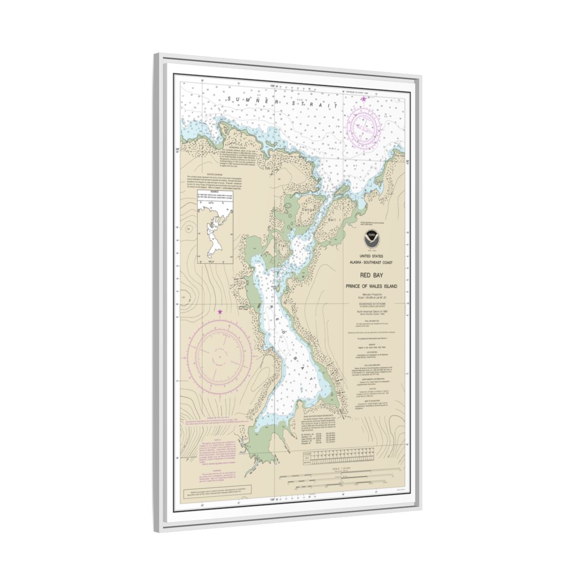 Chart 17381 Red Bay, Prince of Wales Island - NOAA Nautical Chart Floating Frame Canvas | 20" x 30" | 24" x 36" | 32" x 48" - White side