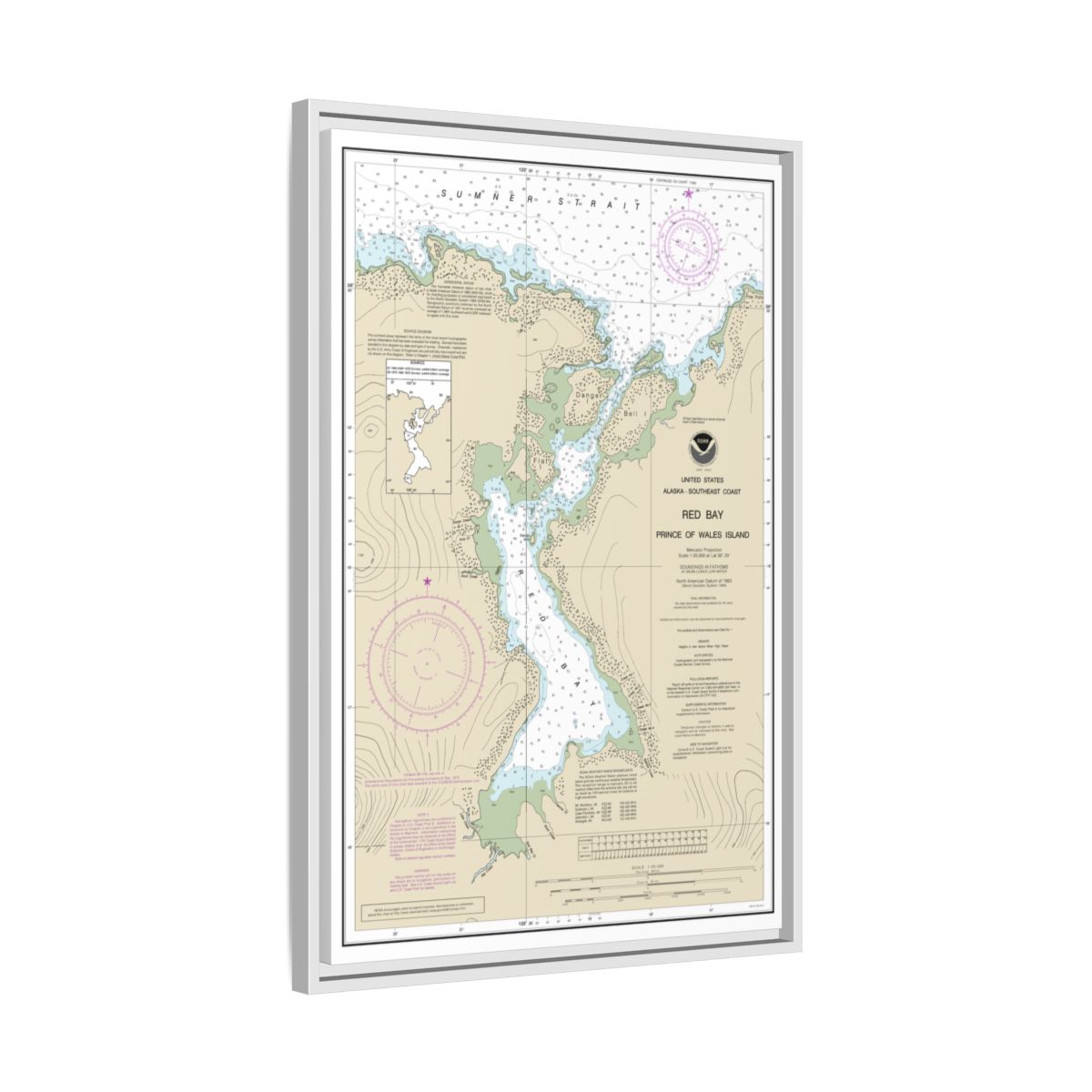 Chart 17381 Red Bay, Prince of Wales Island - NOAA Nautical Chart Floating Frame Canvas | 20" x 30" | 24" x 36" | 32" x 48" - White side