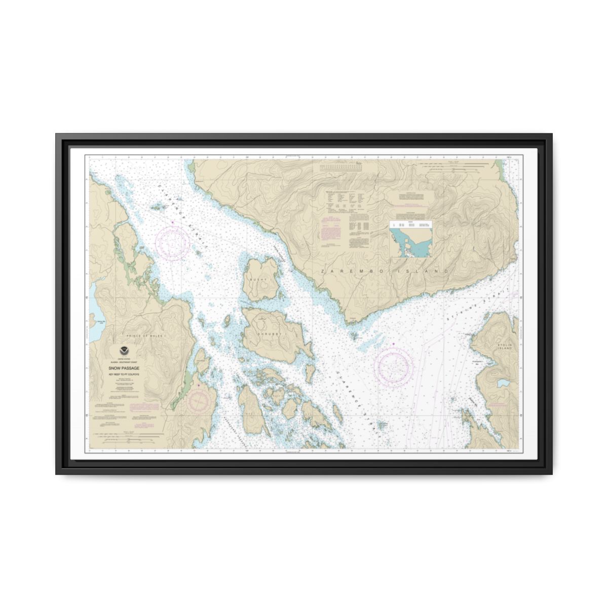 Chart 17383 Snow Passage, Alaska - NOAA Nautical Chart Floating Frame Canvas | 30" x 20" | 36" x 24" | 48" x 32" - Black front