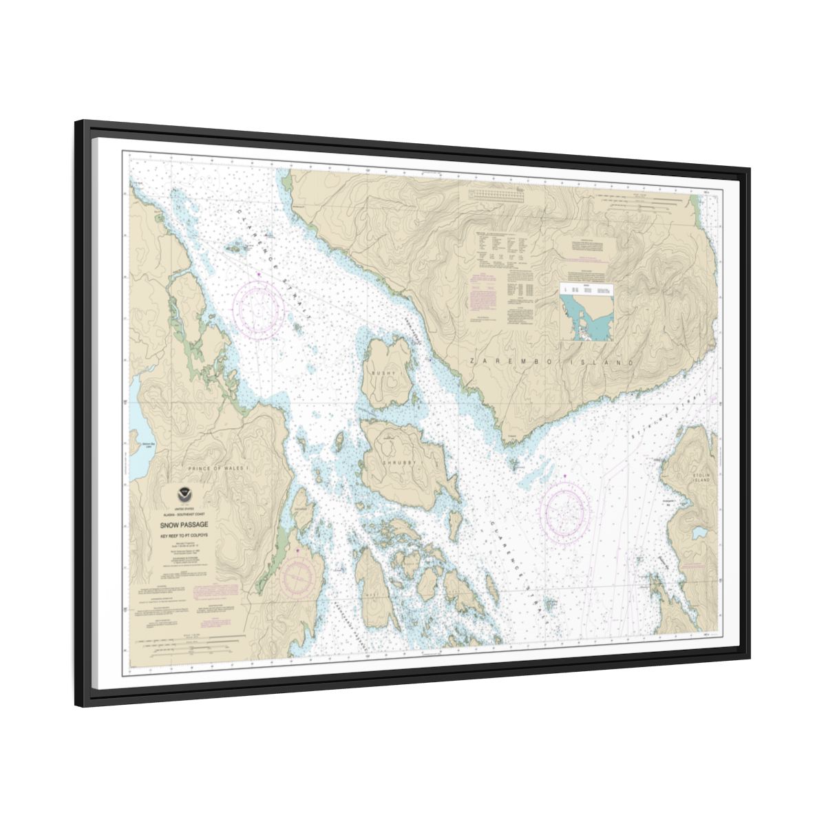 Chart 17383 Snow Passage, Alaska - NOAA Nautical Chart Floating Frame Canvas | 30" x 20" | 36" x 24" | 48" x 32" - Black side