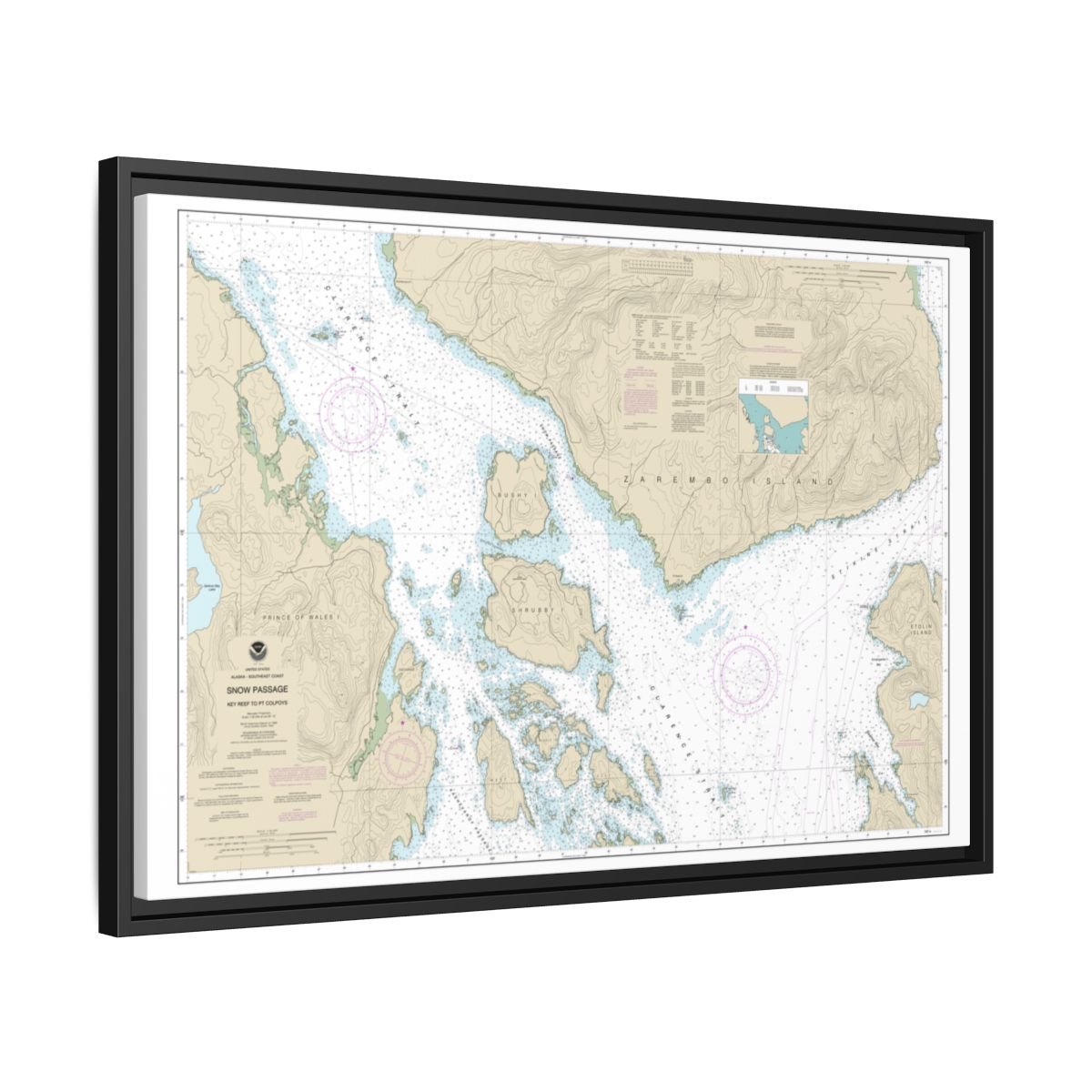 Chart 17383 Snow Passage, Alaska - NOAA Nautical Chart Floating Frame Canvas | 30" x 20" | 36" x 24" | 48" x 32" - Black side