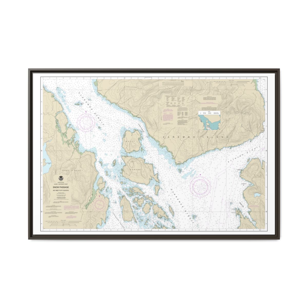 Chart 17383 Snow Passage, Alaska - NOAA Nautical Chart Floating Frame Canvas | 30" x 20" | 36" x 24" | 48" x 32" - Espresso front