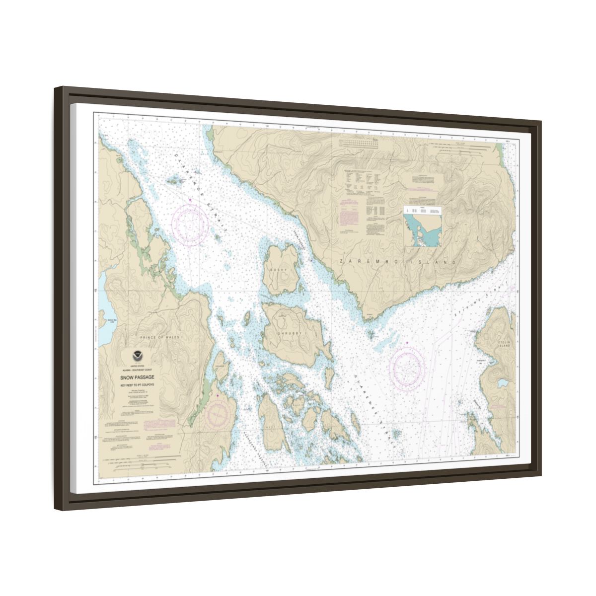 Chart 17383 Snow Passage, Alaska - NOAA Nautical Chart Floating Frame Canvas | 30" x 20" | 36" x 24" | 48" x 32" - Espresso side