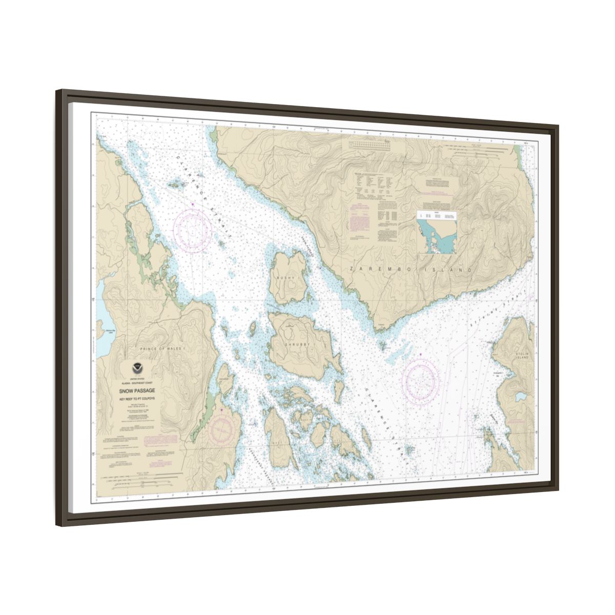 Chart 17383 Snow Passage, Alaska - NOAA Nautical Chart Floating Frame Canvas | 30" x 20" | 36" x 24" | 48" x 32" - Espresso side