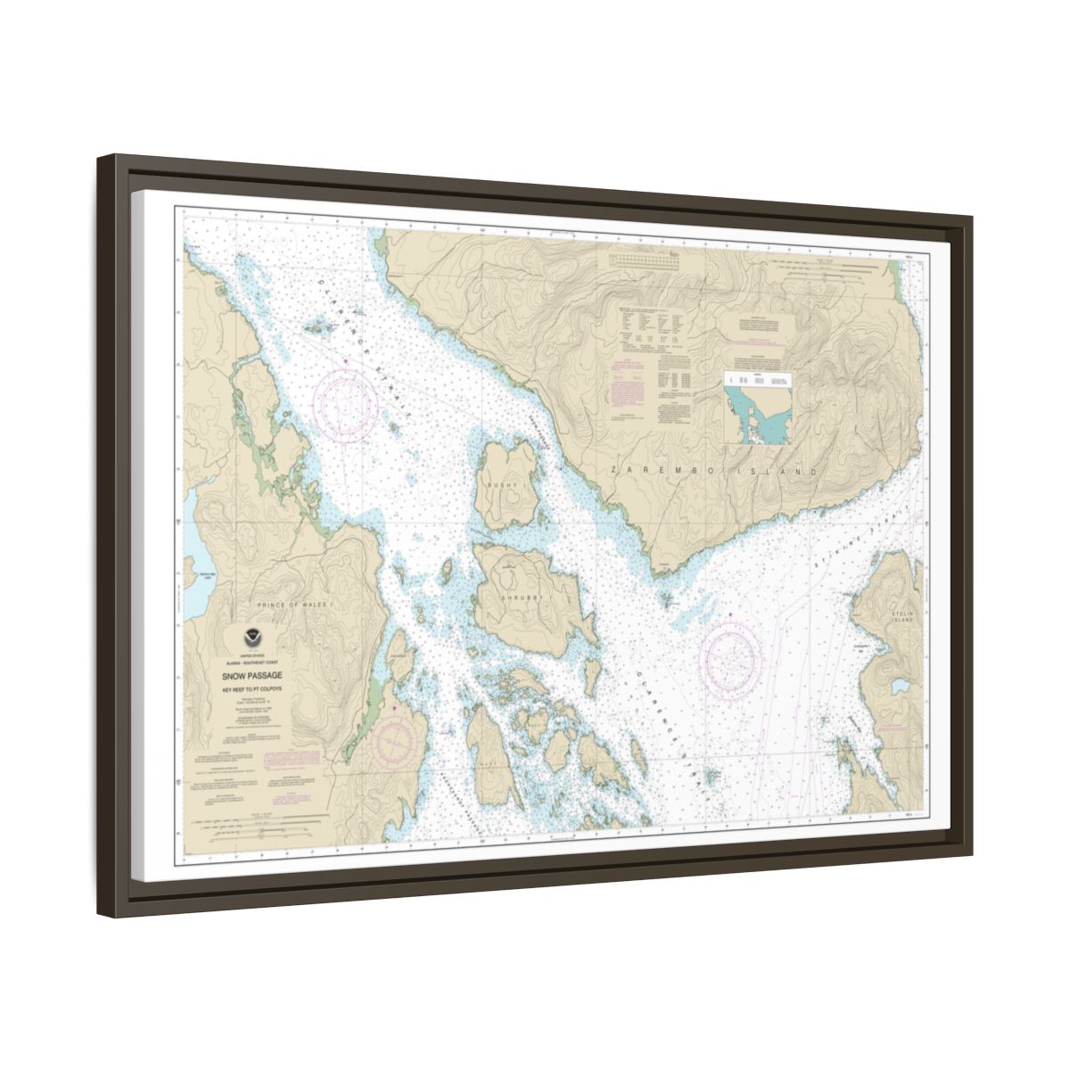 Chart 17383 Snow Passage, Alaska - NOAA Nautical Chart Floating Frame Canvas | 30" x 20" | 36" x 24" | 48" x 32" - Espresso side