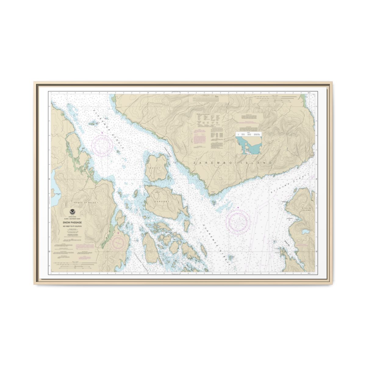 Chart 17383 Snow Passage, Alaska - NOAA Nautical Chart Floating Frame Canvas | 30" x 20" | 36" x 24" | 48" x 32" - Natural front