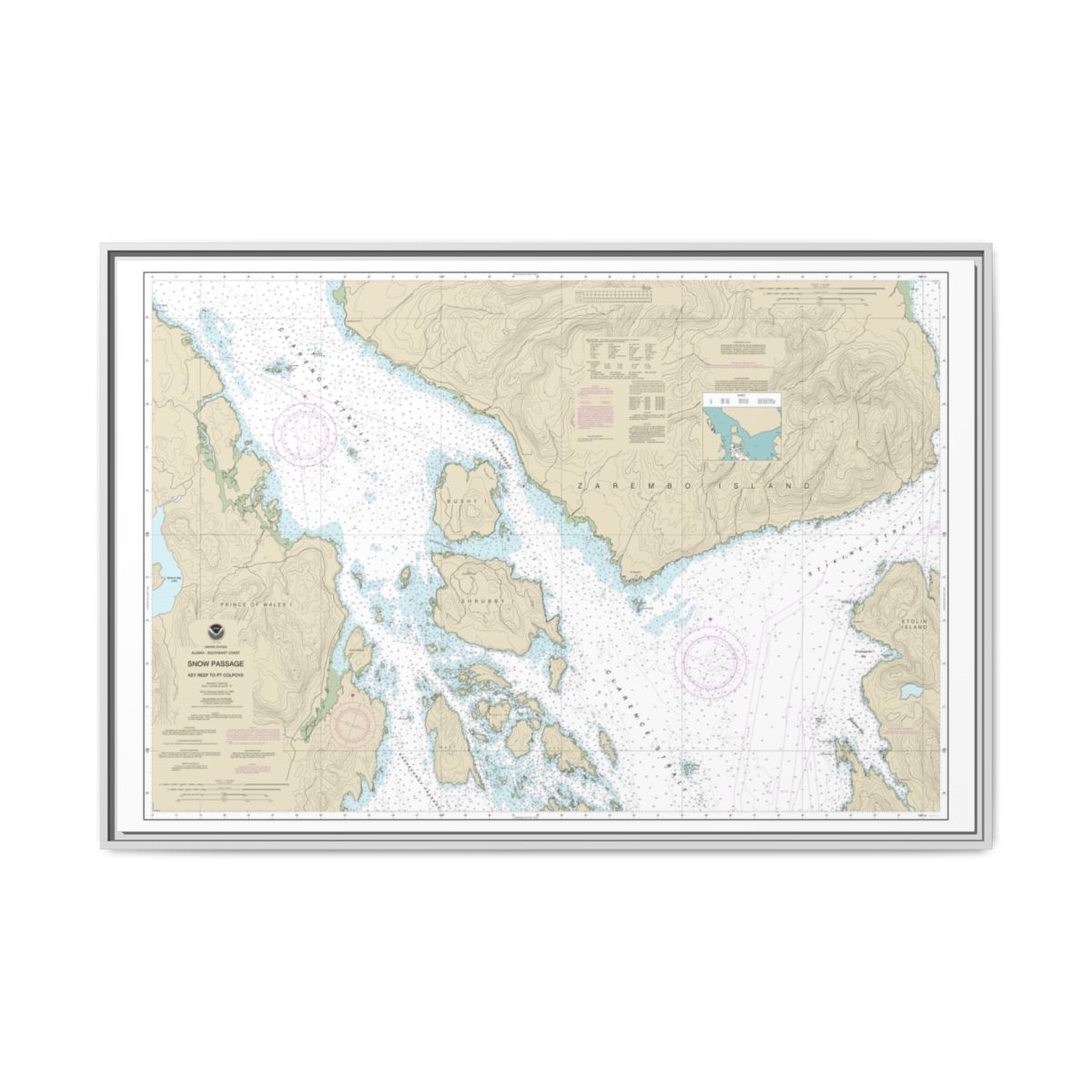 Chart 17383 Snow Passage, Alaska - NOAA Nautical Chart Floating Frame Canvas | 30" x 20" | 36" x 24" | 48" x 32" - White front